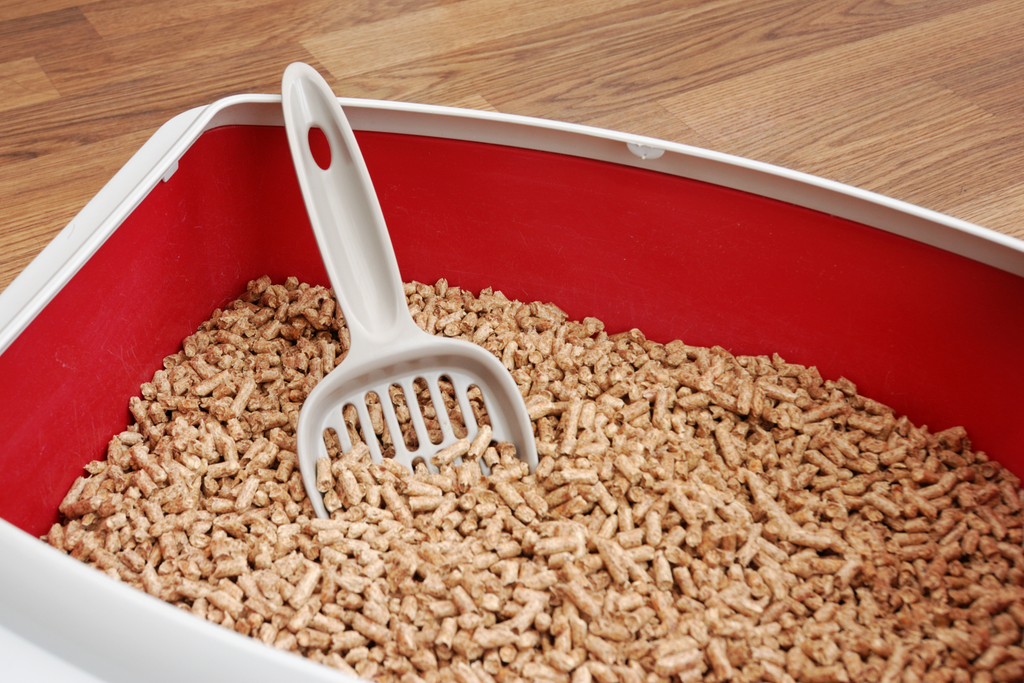 Pine cat litter in a red litter box with a scoop in it, cats dislike the scent of pine and they dislike the scent of their own waste