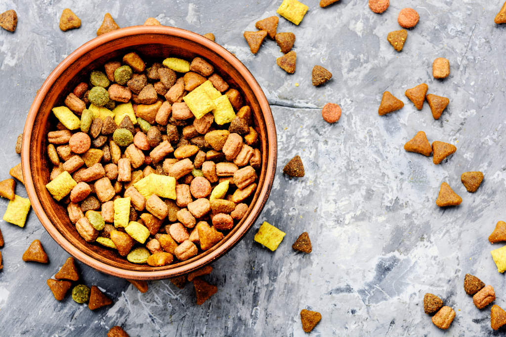 Dry cat food scattered on the floor and in a red bowl, cats like the scent of cat food and of chicken and tuna