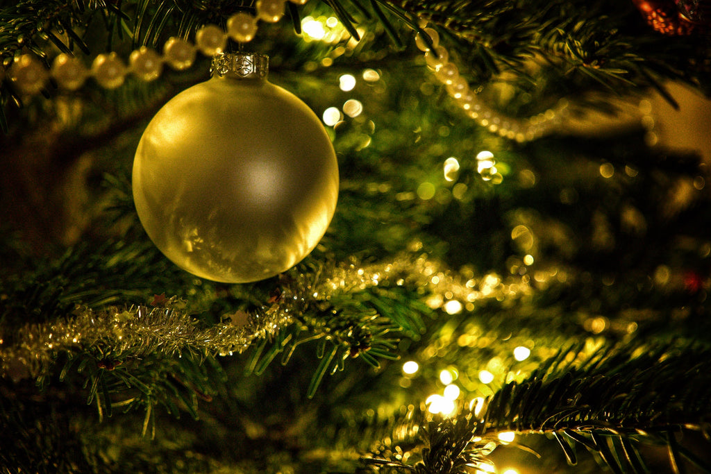 How to cat-proof your Christmas tree during the holiday season