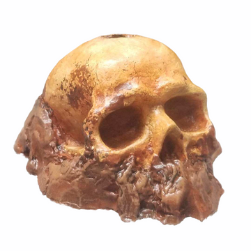 Skull Small Embed 12 Cavity Silicone Mold 5529