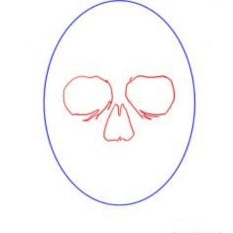 draw a pirate skull with bones