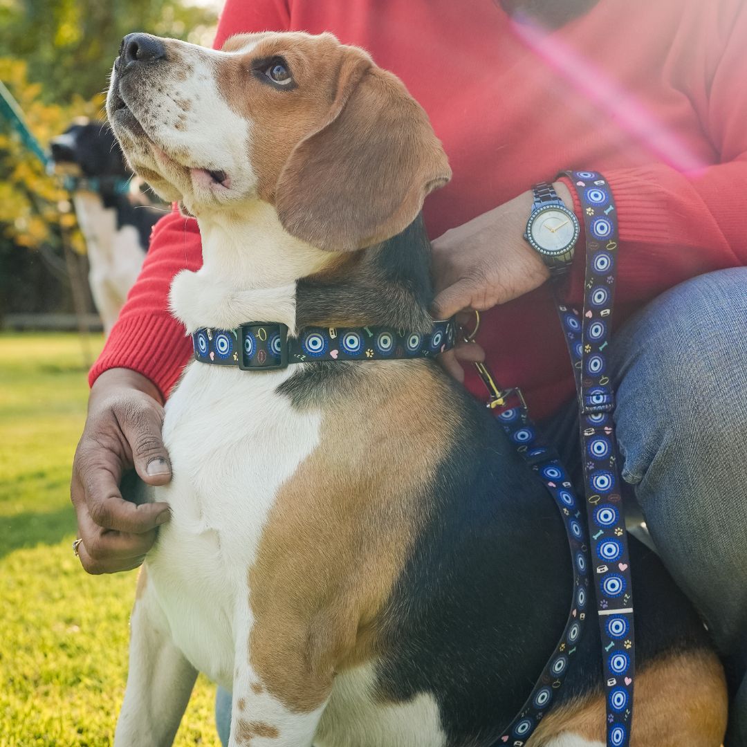 Dark Blue Evil Eye | Collar | Leash | Harness - Doggie Dabbas product image