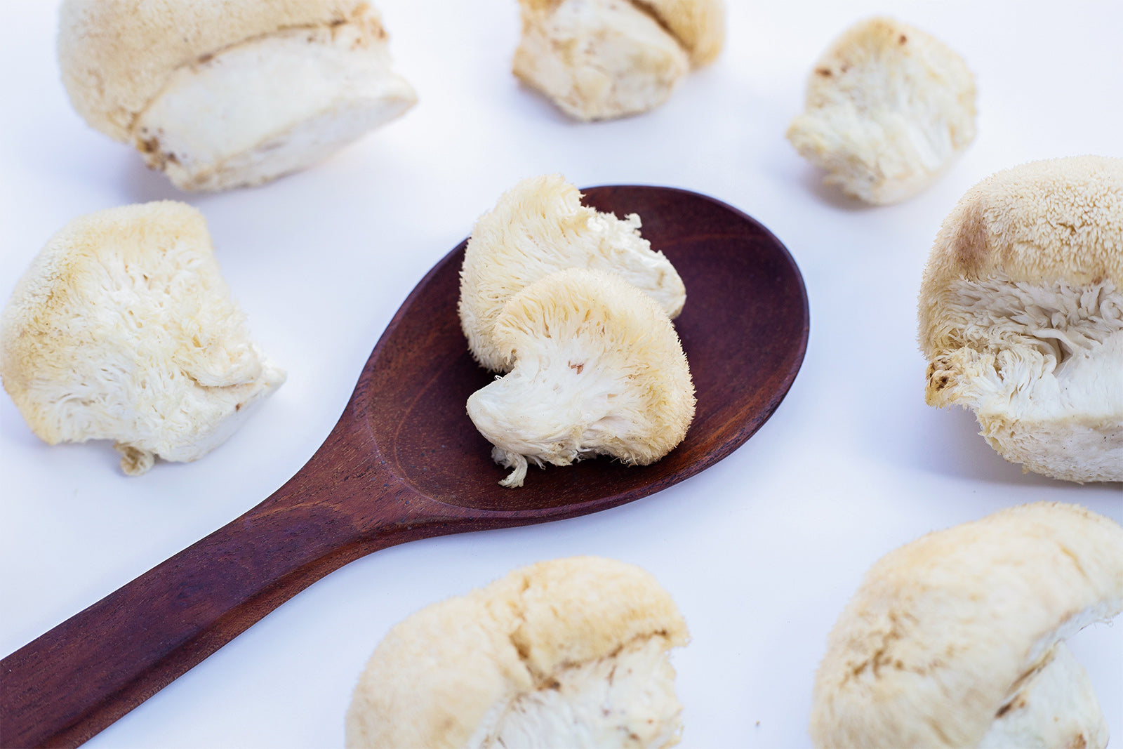 Lion's Mane mushroom on a spoon