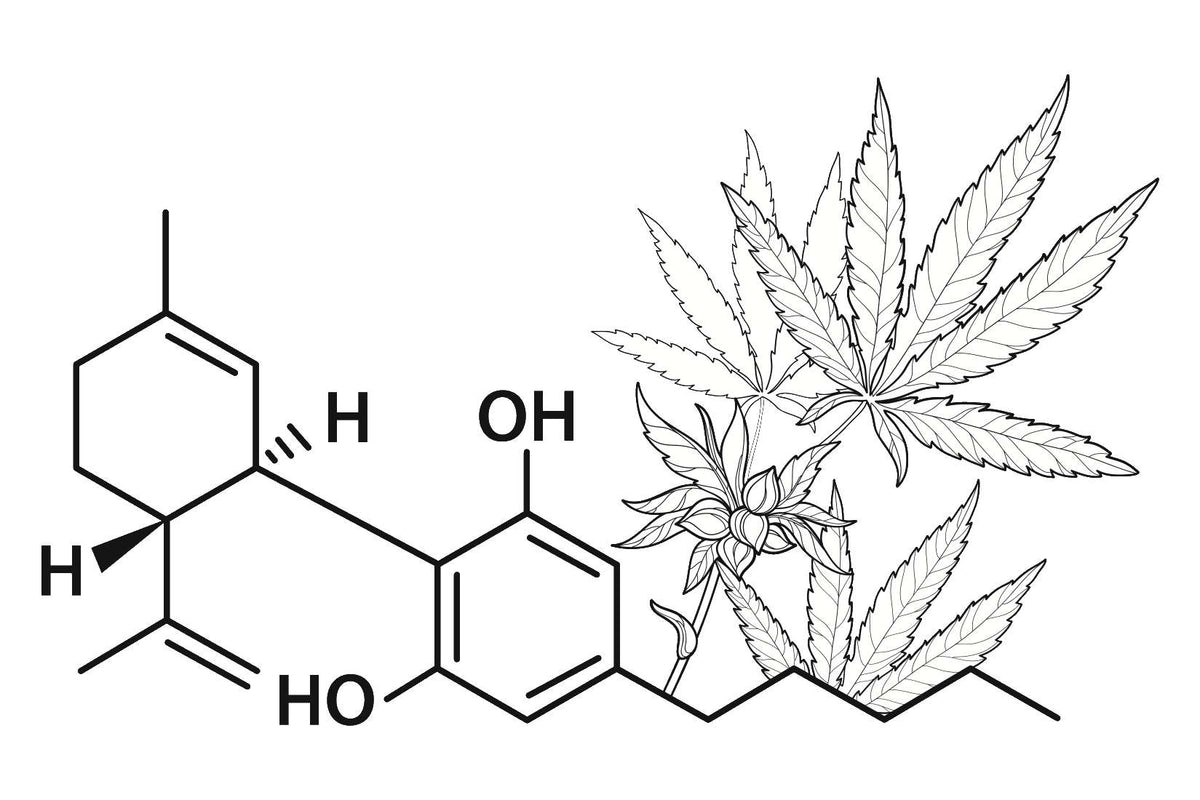 Image of the Cannabis Sativa Molecule