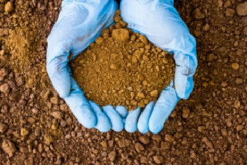 Image of lab testing soil before planting cannabis sativa seeds