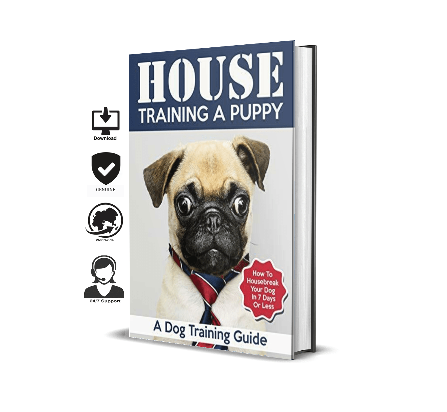 how to house train a dog in 7 days