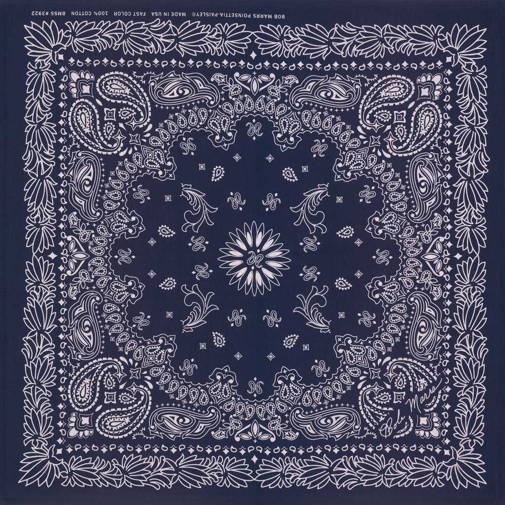 Paisley Bandana in Brown & Red – Seaward & Stearn