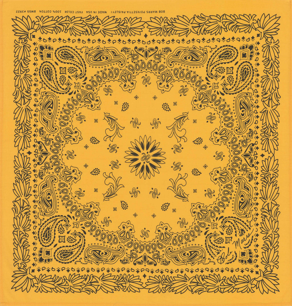 Paisley Bandana in Brown & Red – Seaward & Stearn