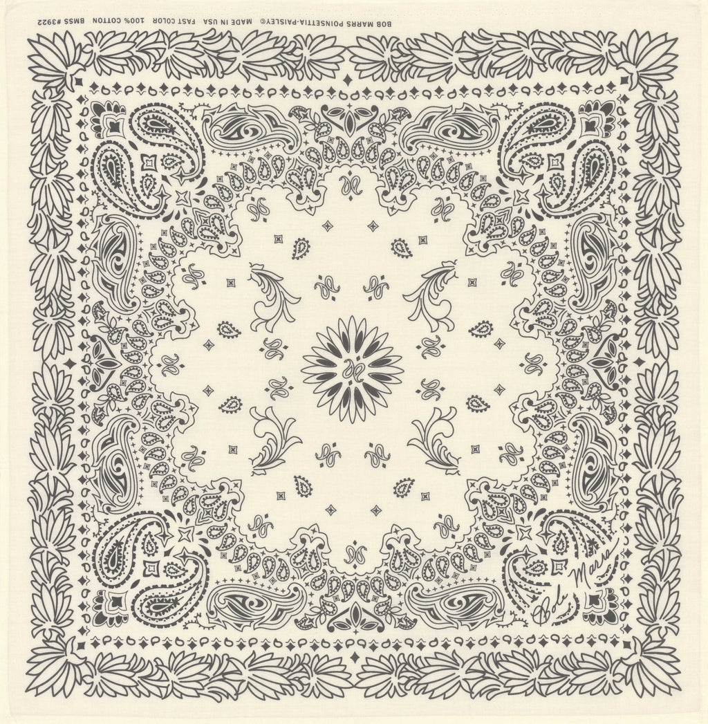 Paisley Bandana in Brown & Red – Seaward & Stearn