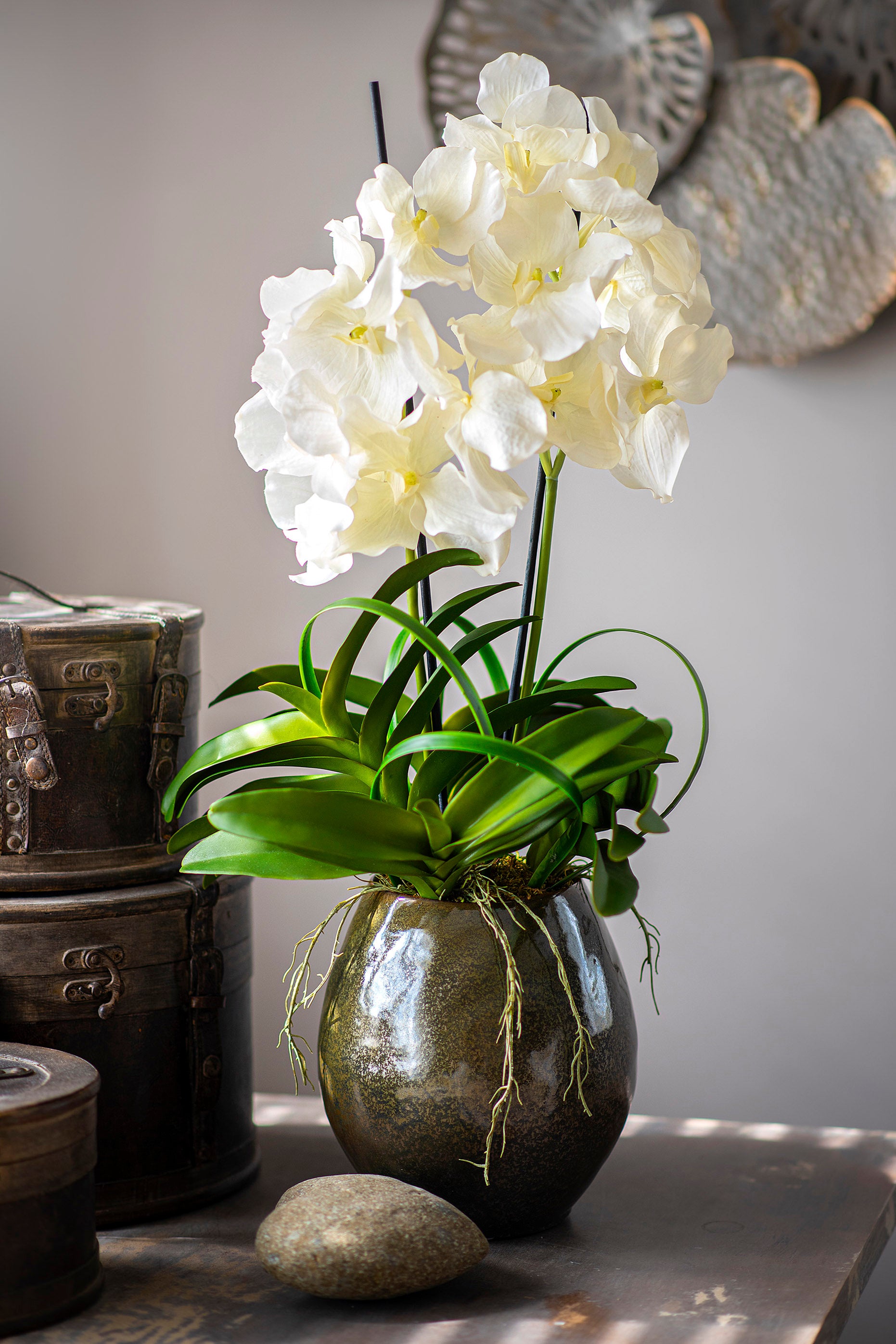 Vanda Orchids in a Olive Green Ceramic Pot – RTfact Flowers