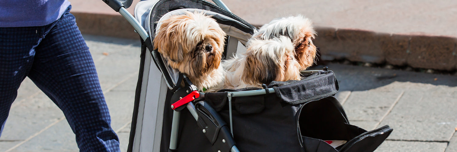 Dog Stroller