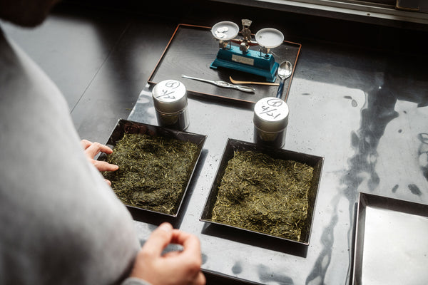 Tea tasting of two harvest days