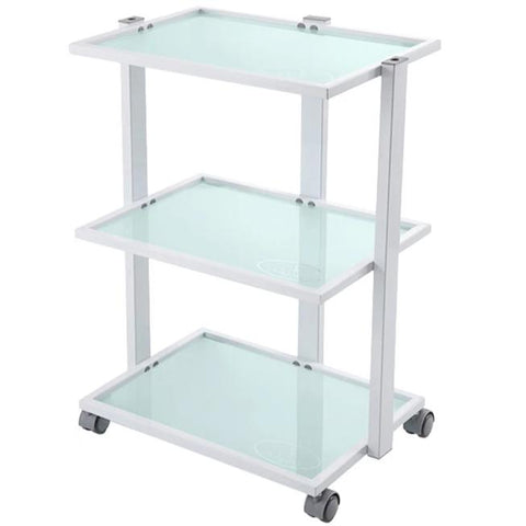 Carrello estetista con ruote, carrello a 3 livelli con cassetti e bidoni  della spazzatura, ideale per saloni di bellezza, ospedali dentali, cliniche  private, bacini contenitori inclusi : : Commercio, Industria e  Scienza