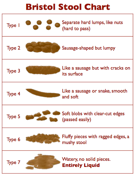 the Bristol Stool chart