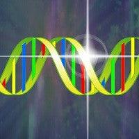 12 Strand Dna Activation Benefits