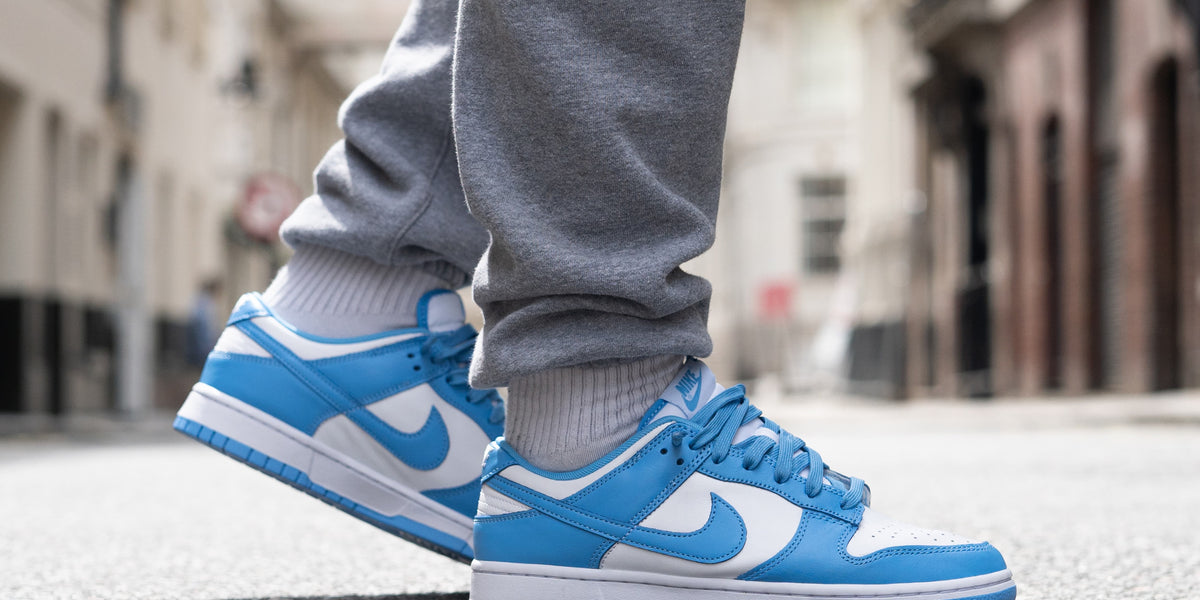 air force dunk low blue