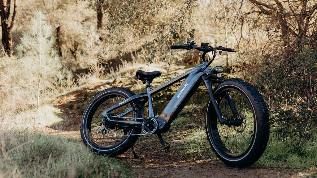 All terrain electric bike | Himiway