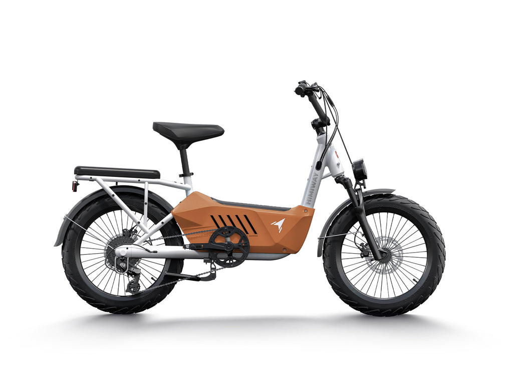 Electric Cargo Bike | Himiway