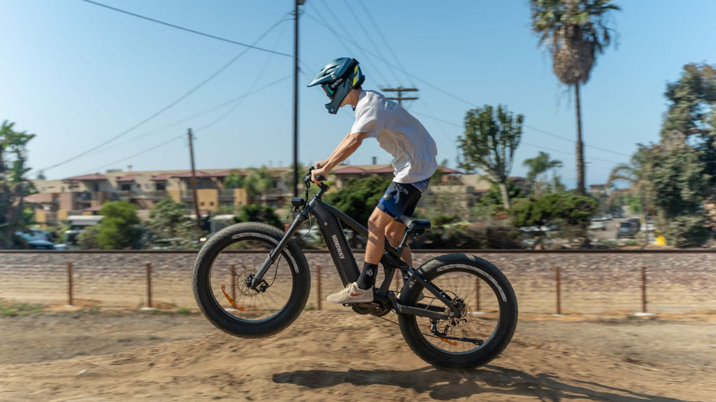 Electric Mountain Bike | Himiway Cobra