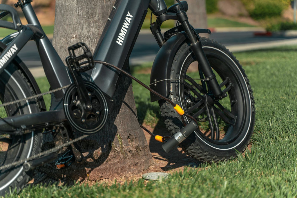 Cargo Bike with fat tire | Himiway