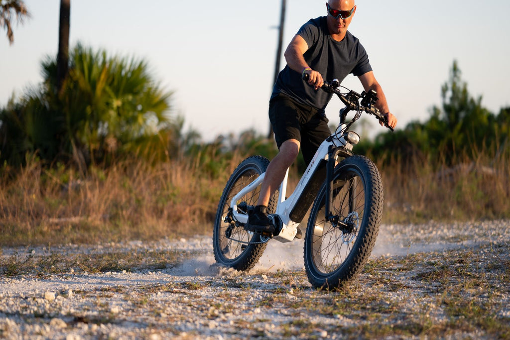 Himiway Fat tire electric bike | Himiway