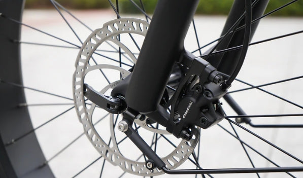 Hydraulic Disc Brakes | Himiway