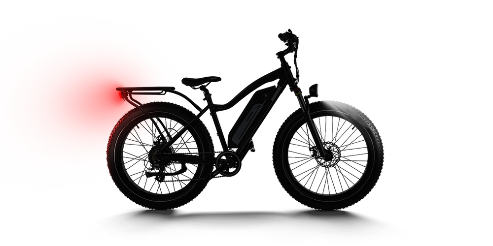 Electric Bicycles