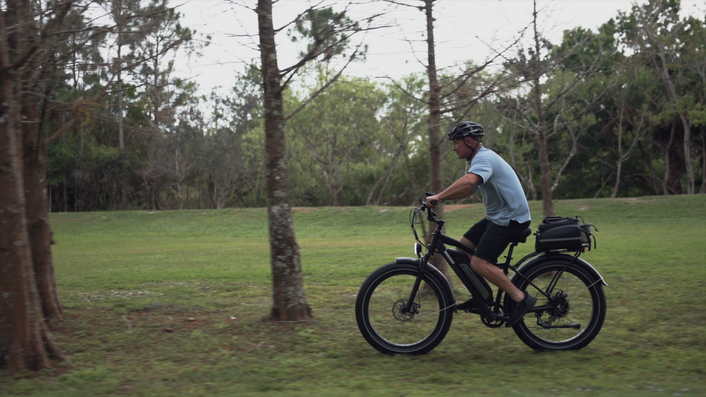 Fat tire electric bike