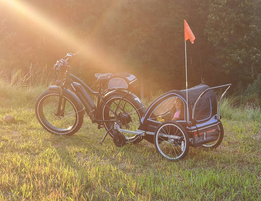 Himiway Cruiser-Anhänger für Kinder und Haustiere