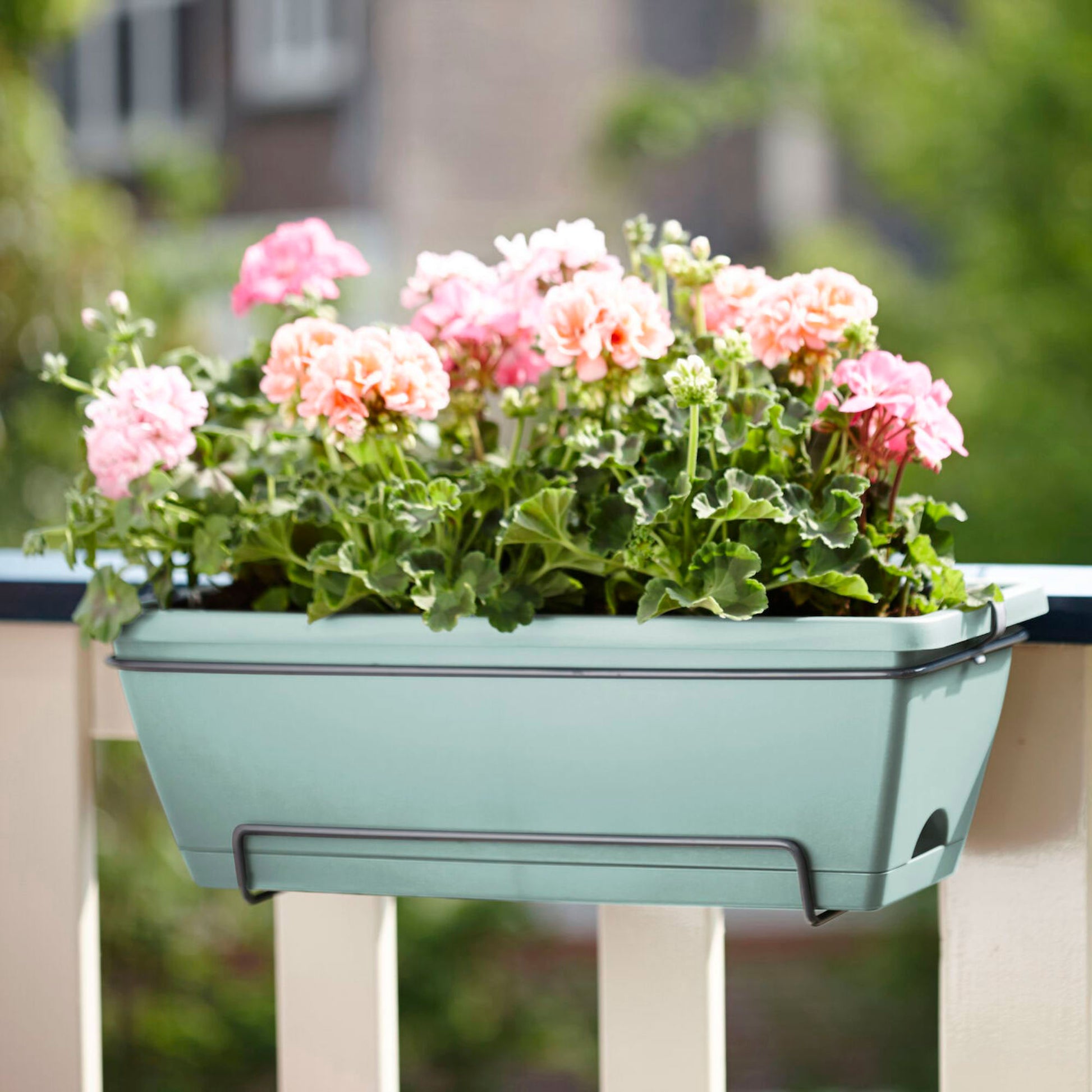 Vriend Welsprekend Ingang Buy Elho balcony planter Barcelona all-in-one rectangular mint - Outdoor  pot | Bakker.com