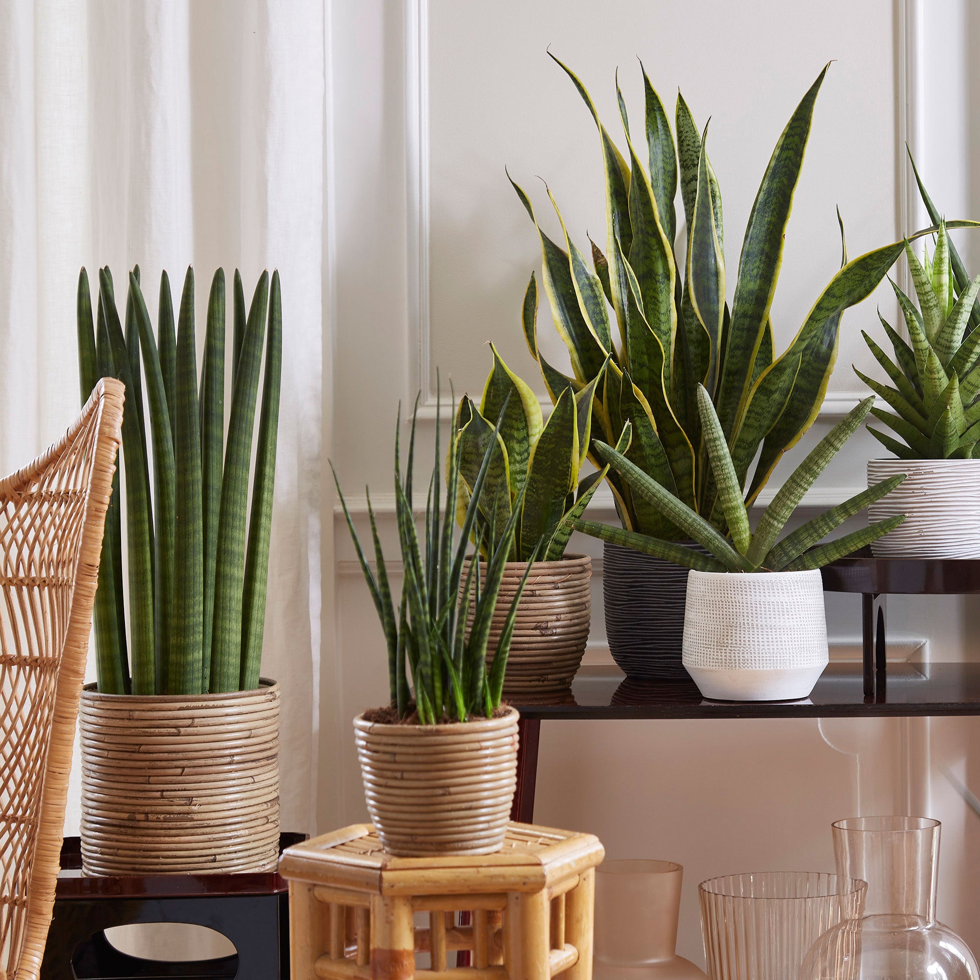Buy Striped rattan flower pot Bulb grey - Indoor and outdoor pot ...