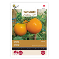 Tomato Solanum 'Arancia' yellow 2 m² - Vegetable seeds