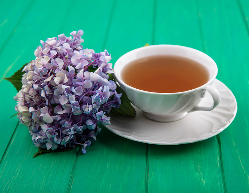 Lavender Tea as natural remedy to induce sleep