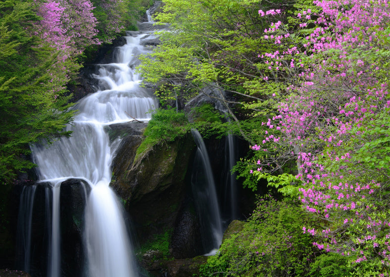 a waterfall located in a deep forest