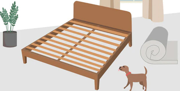 The Importance Of Bed Frames: Why Support and Stability Matter
