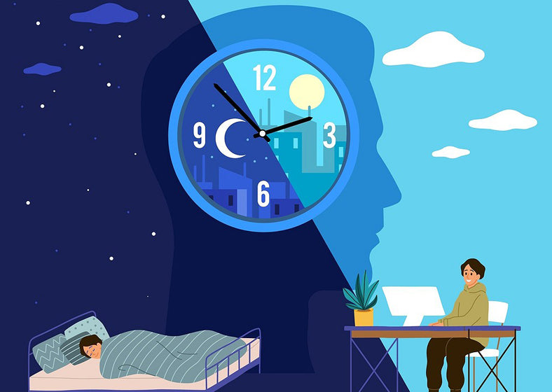 a very well circadian period results in a consistent light-dark cycle.