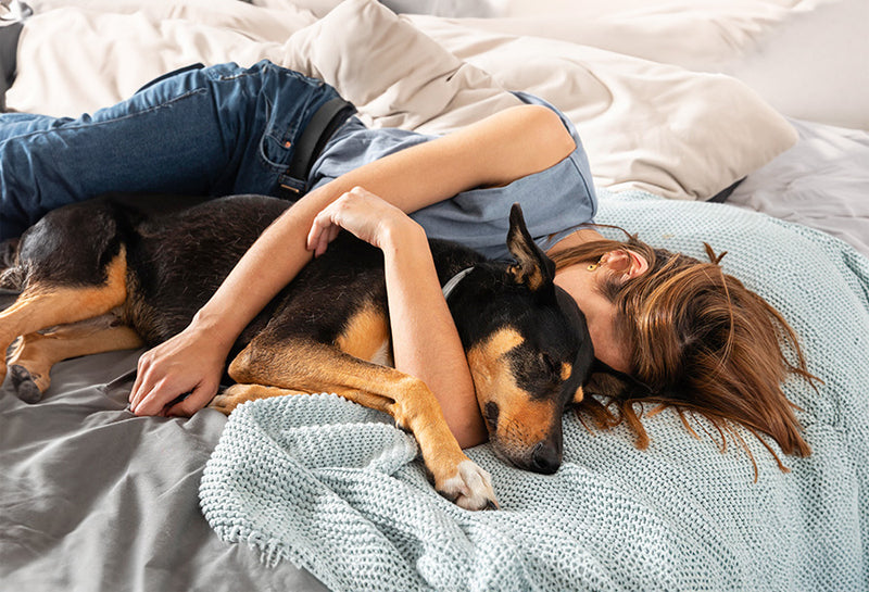 image of dog cuddled with another pet or human