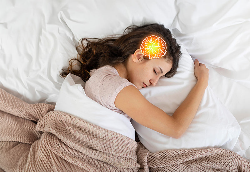 sleep improves brain function and cognitive performance