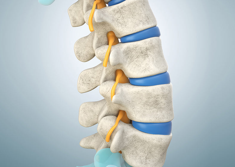 disc degeneration and back pain