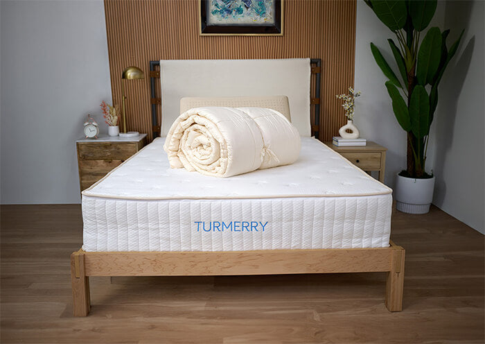 Turmerry Twin XL Comforters - Natural and Organic Wool