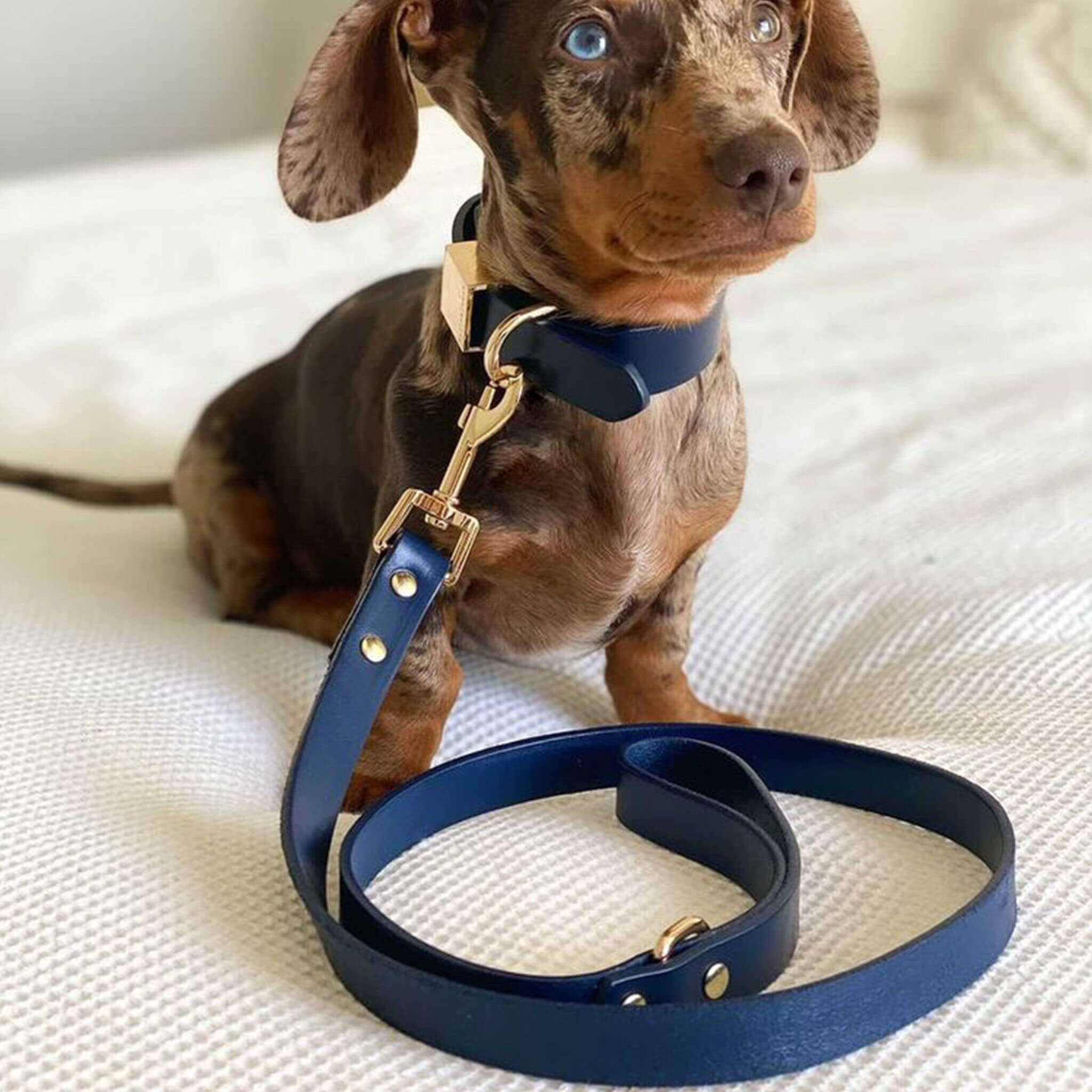 Ascot Leash - Orange Leather Hand Made Dog Leash