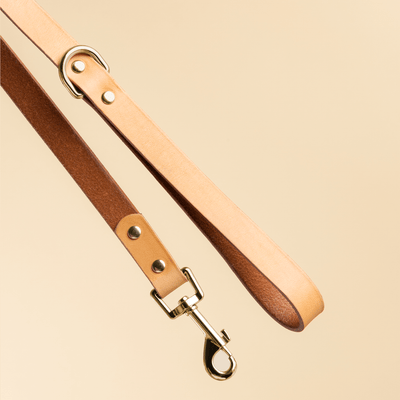 Alice Luxury Leather Dog Lead - Camel – Maison Le Lou