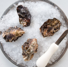 Load image into Gallery viewer, Totten Inlet Oysters (Extra Small)