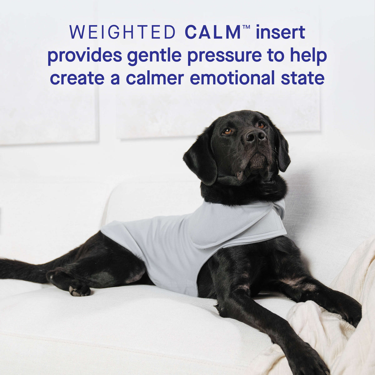 Weighted Calming Vest