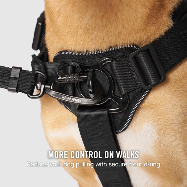 Complete Control Dog Harness for Pullers | Canada Pooch