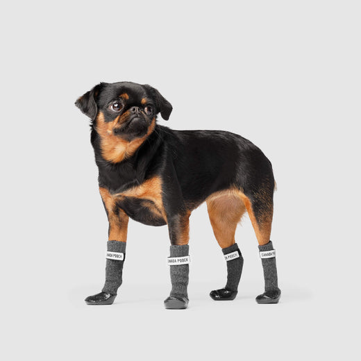 dog sock boots