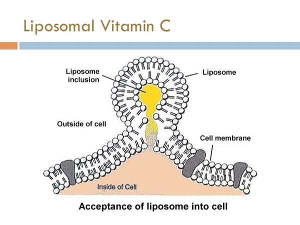 Liiposome injection into cells