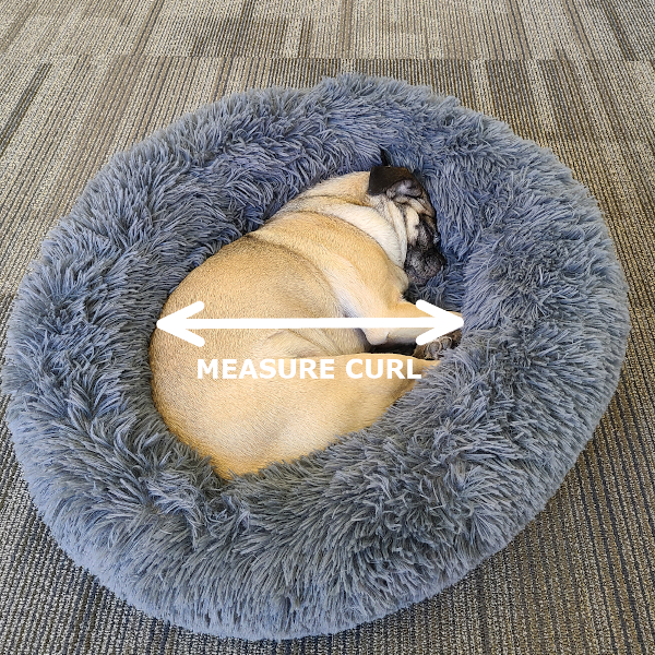 Make sure you measure your dog when they curl up for your dog bonds dog bed!