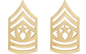 Command Sergeant Major (CSM) Non-Subdued