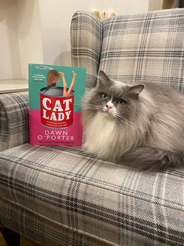 A pale grey tartan armchair with a fluffy grey and white cat curled up on it with a book propped up next to them